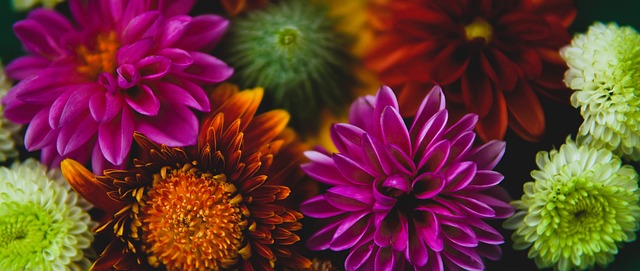 米兰德比：劳塔罗、小图拉姆首发，莱奥、莫德里奇、拉比奥出战