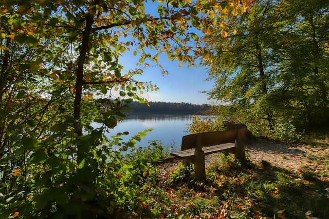 Ødega