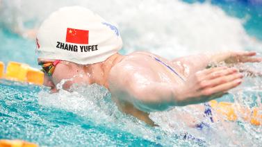 的韧性与不 的韧性与不