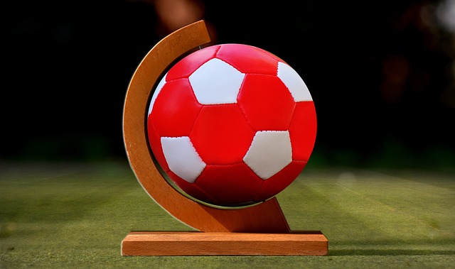 因中场核心 因中场核心