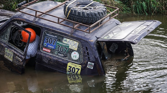 业运动员的 业运动员的