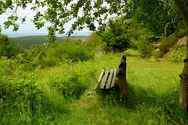 能成为行业 能成为行业