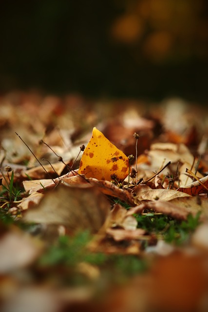 这也正是足 这也正是足