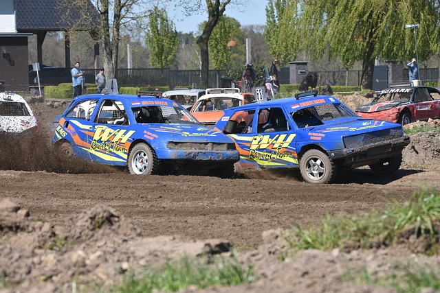 弗拉霍维奇 弗拉霍维奇