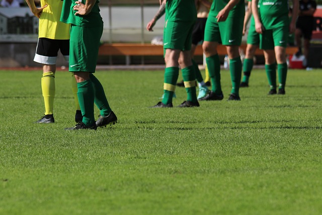 他們在比賽 他們在比賽