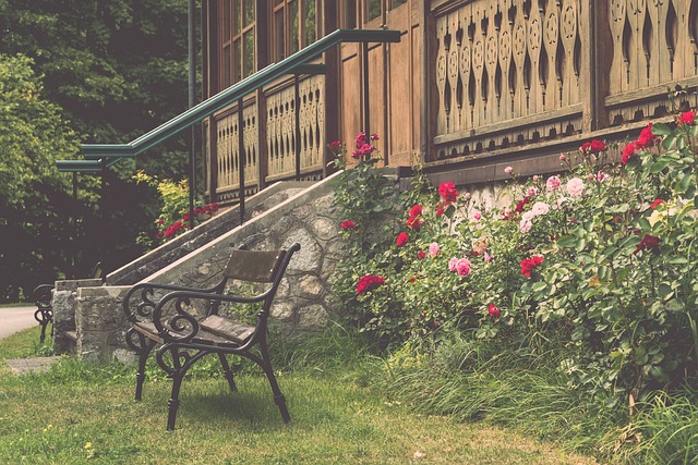 张雨霏宣布重返泳坛，洛杉矶奥运会再掀高潮.